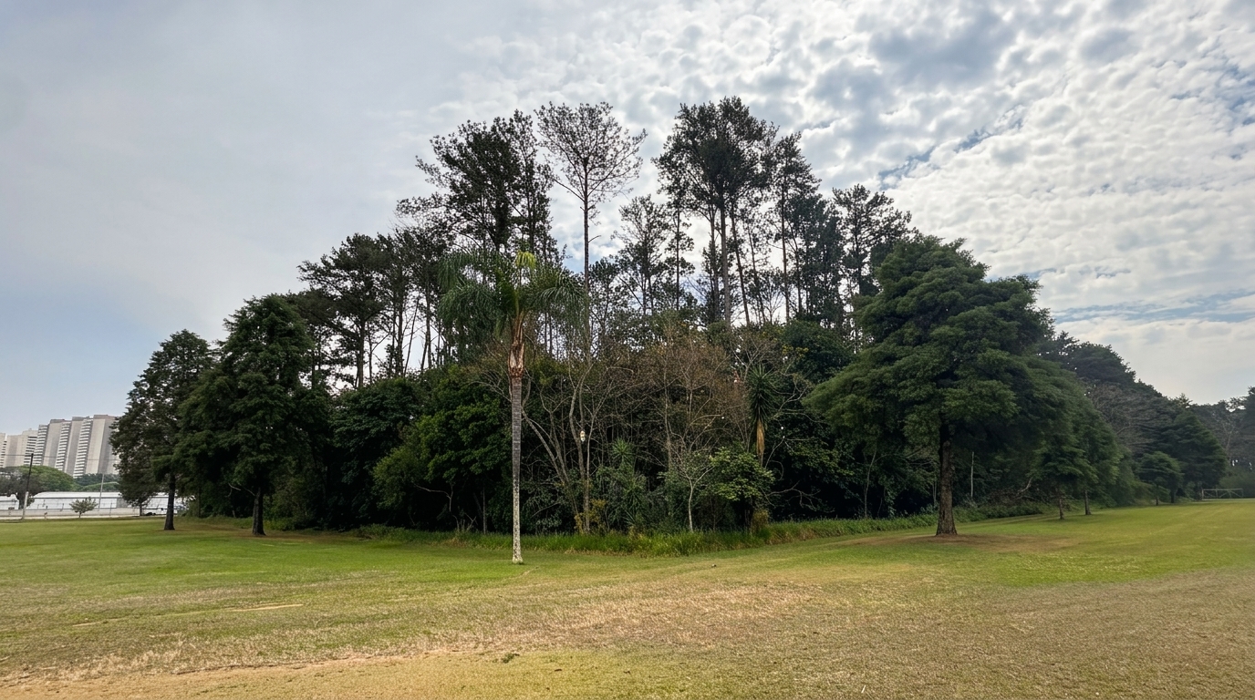 Sustentabilidade Centro Empresarial do Vale